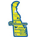 Delaware State Magnet