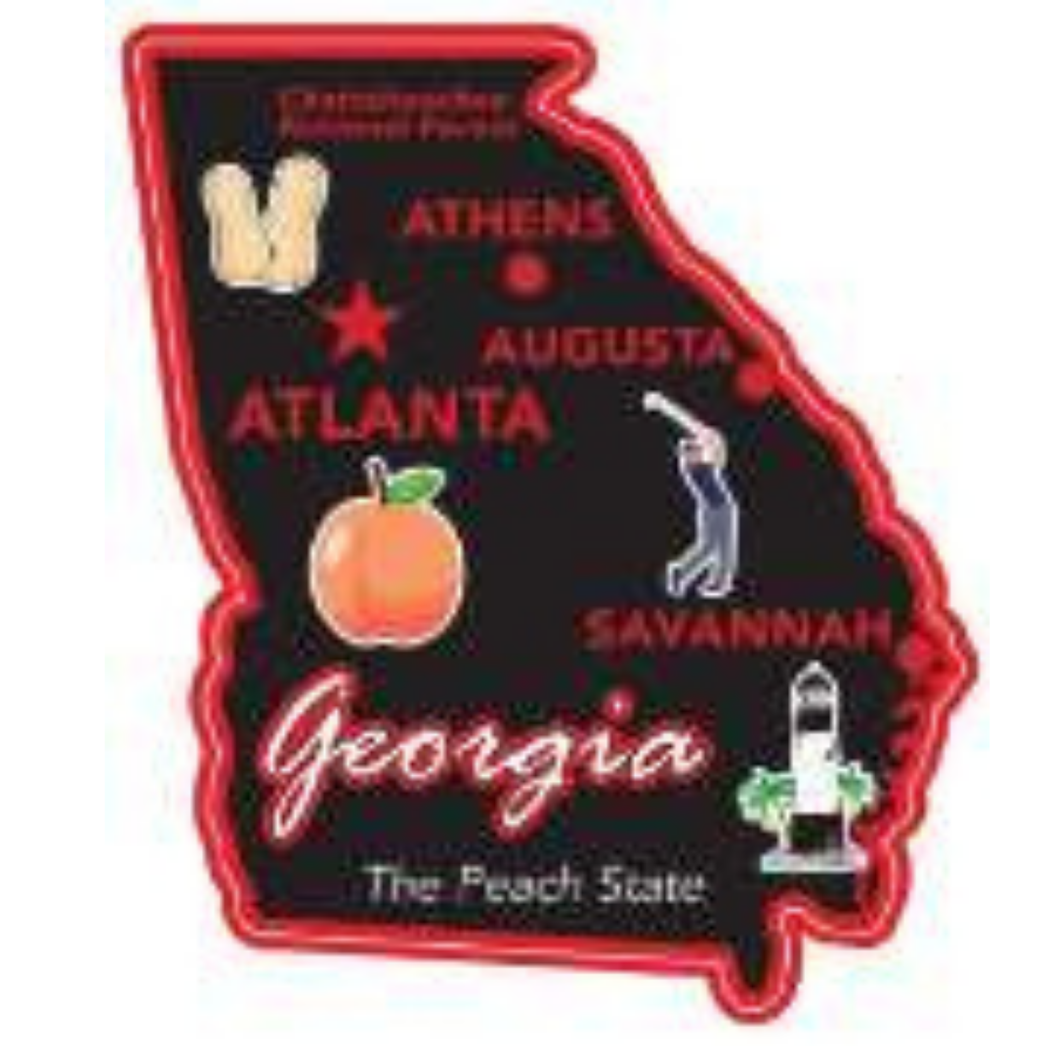 Georgia State Magnet