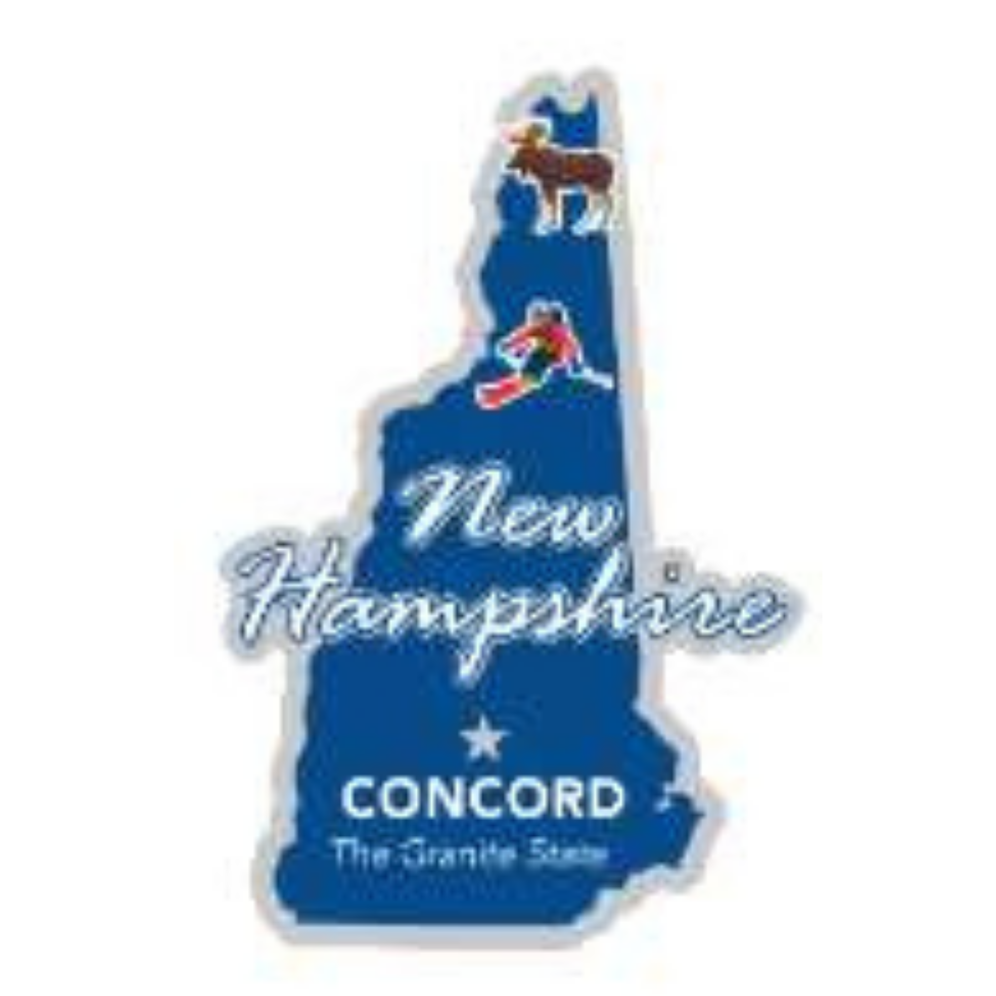New Hampshire State Magnet