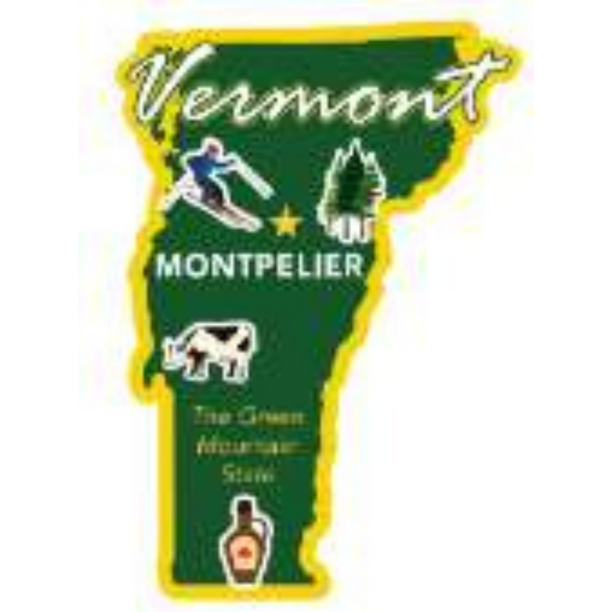 Vermont State Magnet